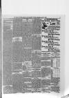 Kerry Reporter Saturday 28 April 1888 Page 7