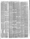 Kerry Reporter Saturday 08 March 1890 Page 3