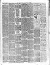 Kerry Reporter Saturday 08 November 1890 Page 3