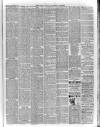 Kerry Reporter Saturday 03 January 1891 Page 3