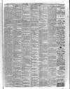 Kerry Reporter Saturday 14 February 1891 Page 4