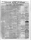 Kerry Reporter Saturday 07 November 1891 Page 5