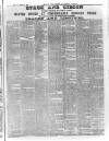 Kerry Reporter Saturday 12 March 1892 Page 5