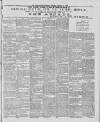 Kerry Reporter Saturday 02 February 1895 Page 5