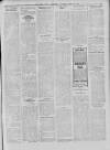 Kerry Reporter Saturday 19 March 1910 Page 11