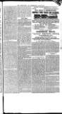 Southwark and Bermondsey Recorder Thursday 02 July 1868 Page 3