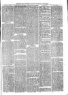 Southwark and Bermondsey Recorder Saturday 30 October 1869 Page 3