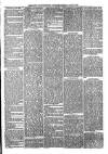 Southwark and Bermondsey Recorder Saturday 16 July 1870 Page 5