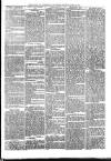 Southwark and Bermondsey Recorder Saturday 18 March 1871 Page 3