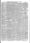 Southwark and Bermondsey Recorder Saturday 13 January 1872 Page 5