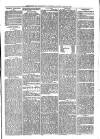 Southwark and Bermondsey Recorder Saturday 12 April 1873 Page 3