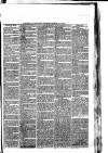 Southwark and Bermondsey Recorder Saturday 01 May 1875 Page 3