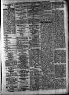 Southwark and Bermondsey Recorder Saturday 15 January 1876 Page 5