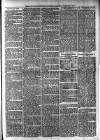 Southwark and Bermondsey Recorder Saturday 05 February 1876 Page 3