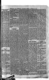 Southwark and Bermondsey Recorder Saturday 24 February 1877 Page 3