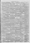 Eastern Argus and Borough of Hackney Times Saturday 28 April 1877 Page 3