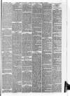 Downham Market Gazette Saturday 06 December 1879 Page 5