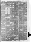 Downham Market Gazette Saturday 13 December 1879 Page 5