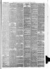 Downham Market Gazette Saturday 20 December 1879 Page 3