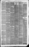 Downham Market Gazette Saturday 10 January 1880 Page 3