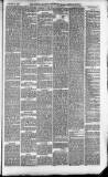 Downham Market Gazette Saturday 10 January 1880 Page 5