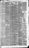 Downham Market Gazette Saturday 17 January 1880 Page 3