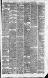 Downham Market Gazette Saturday 17 January 1880 Page 5