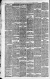 Downham Market Gazette Saturday 24 January 1880 Page 6