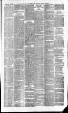 Downham Market Gazette Saturday 31 January 1880 Page 3