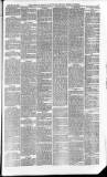 Downham Market Gazette Saturday 31 January 1880 Page 5