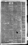 Downham Market Gazette Saturday 14 February 1880 Page 3
