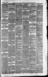 Downham Market Gazette Saturday 14 February 1880 Page 5