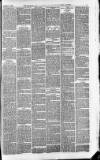 Downham Market Gazette Saturday 13 March 1880 Page 3