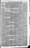 Downham Market Gazette Saturday 13 March 1880 Page 5