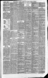 Downham Market Gazette Saturday 20 March 1880 Page 3