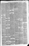 Downham Market Gazette Saturday 20 March 1880 Page 5