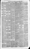 Downham Market Gazette Saturday 24 April 1880 Page 5