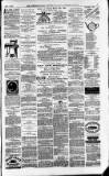 Downham Market Gazette Saturday 01 May 1880 Page 7