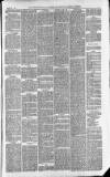 Downham Market Gazette Saturday 15 May 1880 Page 5