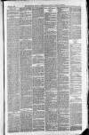Downham Market Gazette Saturday 12 June 1880 Page 3