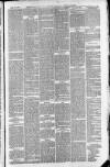 Downham Market Gazette Saturday 12 June 1880 Page 5