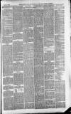 Downham Market Gazette Saturday 26 June 1880 Page 5