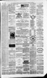 Downham Market Gazette Saturday 03 July 1880 Page 7