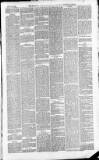 Downham Market Gazette Saturday 10 July 1880 Page 3