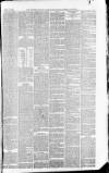 Downham Market Gazette Saturday 17 July 1880 Page 3