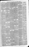 Downham Market Gazette Saturday 30 October 1880 Page 5