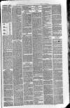 Downham Market Gazette Saturday 27 November 1880 Page 3