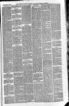Downham Market Gazette Saturday 27 November 1880 Page 5