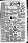 Downham Market Gazette Saturday 27 November 1880 Page 7