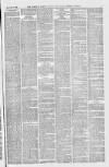 Downham Market Gazette Saturday 12 March 1881 Page 3